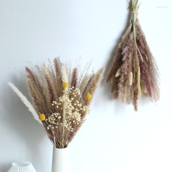 Fleurs décoratives naturel petit Bouquet d'herbe de pampa véritable acte séché pour chambre salon décoration artificiellement cultivé
