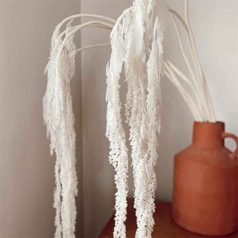 Decorative Flowers Natural White Hanging Dried Real Lover Tear Preserved Amaranthus Flower For Boho Floral Decor DIY Wedding Party Bouquet