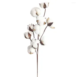 Fleurs décoratives Tiches de coton séché naturellement remplissage de fleurs artificielles décor floral mode simple mobilier de maison polyvalente 2024 vacances