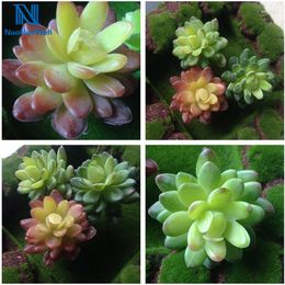 Decoratieve bloemen nuonuowell 3 kleur mini kunstmatige vetplanten planten edelsteen lotus tuin miniatuur nep bloemen bulrush 1pc