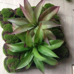 Decoratieve Bloemen NuoNuoWell 8''Artificial Plastic Medium Groen Rood Succulent Agave Plant Boom 35CM UV-BESTENDIG 2 Stuks SET