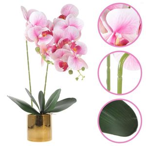 Jardinière d'orchidées artificielles, fleurs décoratives, bonsaï d'extérieur en pot pour maison, bureau, fête de mariage