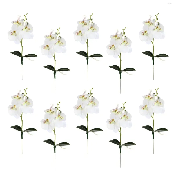 Flores decorativas Tallos de flores de orquídeas mini Phalaenopsis Decoraciones de boda Orquídeas artificiales blancas plantas vivas