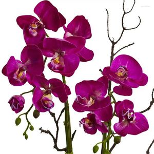 Decoratieve bloemen orchidee sappige kunstmatige bloemarrangement donker