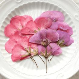 Fleurs décoratives Original Geranium on tige Spécimens DIY Pressé pour l'enseignement Prop 120pcs Expédition gratuite