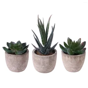 Flores decorativas OUNONA 3pcs Faux Succulent Artificial Fake Simulation Plants With Pots