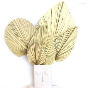 Fleurs décoratives feuille de ventilateur de palmier fleur séchée Mini feuilles de différentes formes branches d'herbes de pampa bricolage décorations de mariage décor à la maison