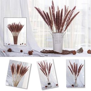 Flores decorativas Pampas paquete seco natural de pequeñas plantas de hierba de caña negocio boda hogar 15 piezas Phragmites Communis Boho Decor