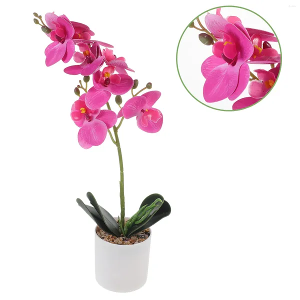 Fleurs décoratives Phalaenopsis bonsaï modèle Simulation orchidée fleur accessoire Table pièce maîtresse décorations de salle