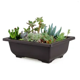 Decoratieve bloemen Plastic Bonsai Pot Imitatie Paars Zand Bloemenmand Voor Vetplanten Cactus Antieke Potten Tuindecoratie