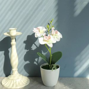 Fleurs décoratives en pot fausse fleur sans arrosage ou festre large application Bouquet de mariage plante artificielle blanc violet