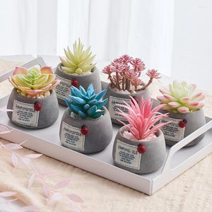 Fleurs décoratives en pot plantes succulentes céramique Mini bonsaï avec Pots ciment fleur artificielle faux pour mariage jardin maison