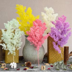 Fleurs décoratives préservées plante fraîche vraie Nature maison florale Table décor fête Penglai pin bricolage fleur Mariage Mariage cadeau Eternelle