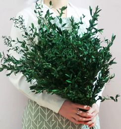 Fleurs décoratives Préservées Greenery Tiges réelles Eucalyptus Bundles Home Office Decor Green Natural Leaves Plant pour arrangement Mariage