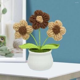 Decoratieve bloemen bewaard handgemaakt gehaakt gehaakte kleine bloem potplanten realistische garen thuis ornament decoratie voor stijlvol