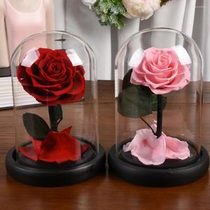 Fleurs décoratives préservées de vraies roses dans un dôme en verre, cadeaux de Saint-Valentin éternels pour femmes, cadeau de Noël, d'anniversaire