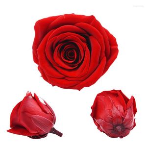 Fleurs décoratives conservées Rose bricolage matériel Saint Valentin cadeau anniversaire mariage décor éternel pour toujours frais décoration Chambre