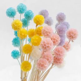 Fleurs décoratives préservées moulin à vent fleur de fruit pour la décoration intérieure bricolage Boho bouquets de mariage arrangement séché décorations de salon