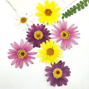 Decoratieve Bloemen Geperst Mix Kleur Daisy Voor Materiaal Vullen Gedroogde Bloem Mobiele Telefoon Shell Reliëf Plantenexemplaren 8 Stks/zak