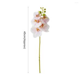 Fleurs décoratives Jolie fleur artificielle Bel arrangement minimaliste ornemental Faux Phalaenopsis