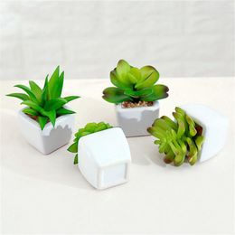 Fleurs décoratives PVC Mini Simulation flocage plantes succulentes bonsaï en céramique en pot maison jardin décoration fleur Arrangement accessoires