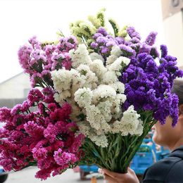 Flores Decorativas Real Secas Flor Natural Não Me Esqueça Bouquet Eterno Floral Festa de Casamento Dia dos Namorados Natal Casa