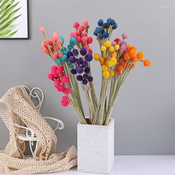 Fleurs décoratives vraie fleur séchée naturelle fraise Bouquet de fruits pour bricolage maison pays chambre décor mariage fête décoration accessoires