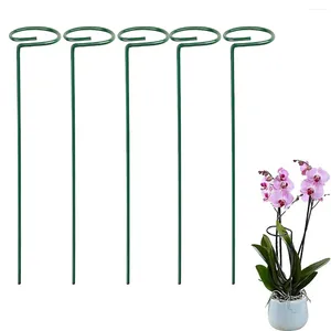 Support de plante de jardin en plastique réutilisable, fleurs décoratives, tige de support en forme de fleur, tige en pot, dispositif anti-chute pour orchidée pivoine