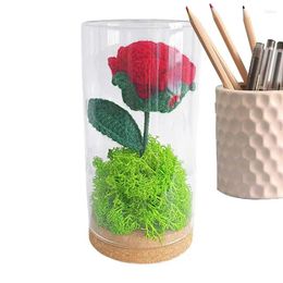 Fleurs décoratives Rose dans un Vase fleur préservée lampe veilleuse au crochet enchanter artificielle femmes Valentine cadeaux Crochet