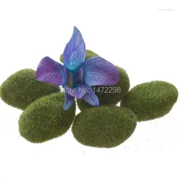 Fleurs décoratives Round Moss Rocks mini x 6 pcs par paquet -gréat Dyi Arrangements de fées jardins, etc.