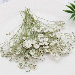 Fleurs décoratives vendant de la gypsophile blanche avec de grands pétales de fleurs pressées séchées pour des ornements 3D 20 pièces livraison gratuite