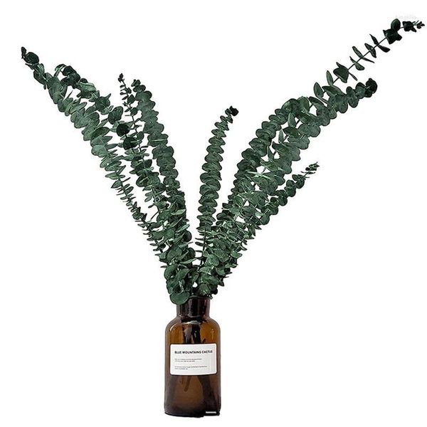 Fleurs décoratives douche Eucalyptus plante naturelle suspendue pour 10 pièces soins personnels vivants et aromatiques