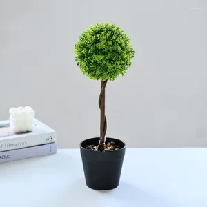 Decoratieve bloemen gesimuleerde kunstmatige groene planten grasballen bonsai creatieve ornamenten neppot