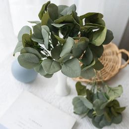 Fleurs décoratives simulées fausses plantes 6 pièces tiges de verdure d'eucalyptus artificielles réalistes couleur vibrante pour la décoration naturelle de la maison
