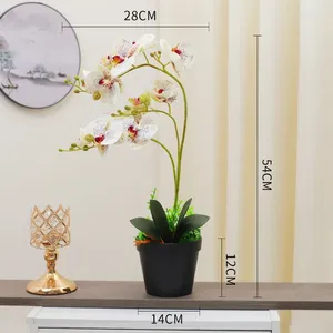 Fleurs décoratives simulées, orchidées papillon, petites plantes en pot, fausses décorations de Table de salon