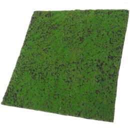 Fleurs décoratives Simulate Green Plant Wall Moss 50x50 Paysage artificiel Micro Fake Indoor