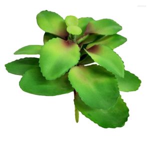 Fleurs décoratives plante simulée David plantes succulentes artificielles bonsaï variété aléatoire sans pot de fleur