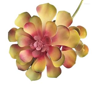 Fleurs décoratives plante simulée Echeveria Purpusorum plantes succulentes artificielles bonsaï variété aléatoire sans Pot de fleur