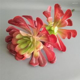 Fleurs décoratives Plante simulée Echeveriarunyonii Topsy Turvy Plantes succulentes artificielles Bonsaï Variété aléatoire sans pot de fleur