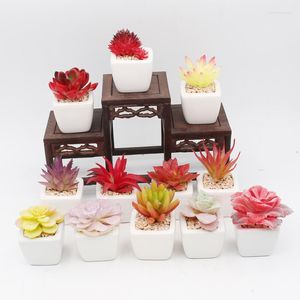 Decoratieve Bloemen Gesimuleerde Plant Paarse Maansikkel Kunstmatige Succulenten Bonsai Willekeurige Verscheidenheid Zonder Bloempot