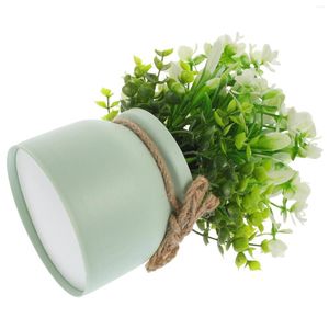 Fleurs décoratives simulées petits bonsaï émulés plantes en pot modèle décorations artificielles réaliste en plastique vert bureau intérieur