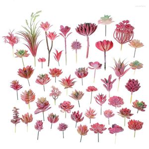 Fleurs décoratives simulées plante succulente expérience herbe rouge cachemire ornemental bonsaï couleur artificielle en pot