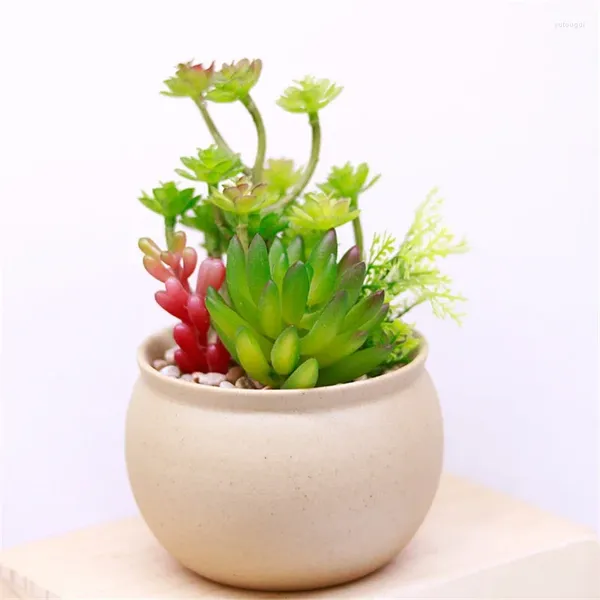 Fleurs décoratives simulées plante succulente Zizhang grande chaîne lune ville ornementale bonsaï couleur artificielle en pot