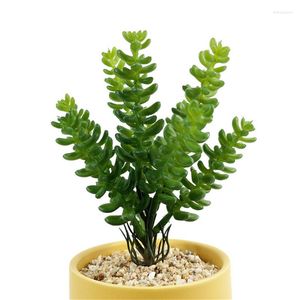 Decoratieve bloemen gesimuleerde sappige planten bonsai jade draak guanyin zonder bloemenpot natuurlijke kunstmatige bloem holly cactus