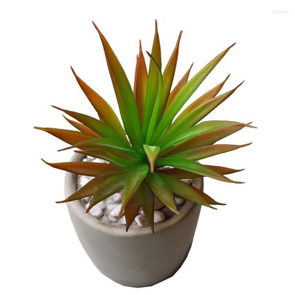 Fleurs décoratives simulées plantes succulentes bonsaï Sedum Lineare sans pot de fleurs fleur artificielle naturelle camomille Cactus