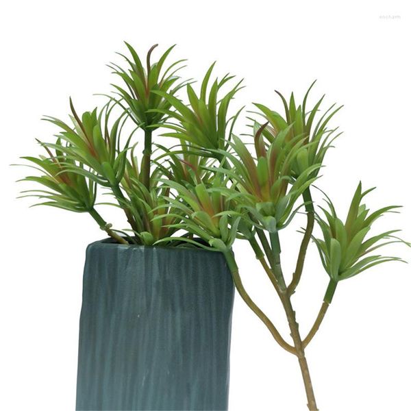 Flores decorativas Plantas suculentas simuladas Bonsai Pachyphytum Oviferum Sin maceta Flor artificial natural Malus Spectabilis