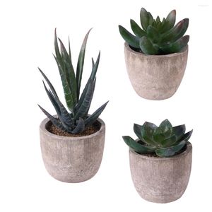 Decoratieve bloemen simulatie cacti potplanten kleine sappige faux vetplanten Sucidanten nep