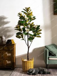 Fleurs décoratives simulation magnolia faux arbres en plastique floriculture végétale végétale en pot au salon intérieur décoration décoration décoration