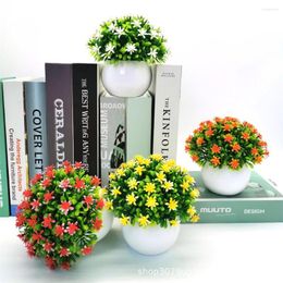 Fleurs décoratives plantes de simulation pleines d'étoiles hémisphère en plastique en pot faux décorations intérieures bureau bureau petits ornements