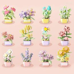 Simulation de fleurs décoratives Ornements de plante en pot succulen